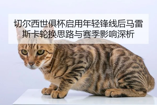 qie-er-xi-shi-ju-bei-qi-yong-nian-qing-feng-xian-hou-ma-lei-si-ka-lun-huan-si-lu-yu-sai-ji-ying-xiang-shen-xi-2-741.jpg