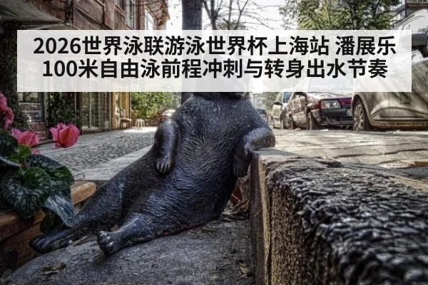 2026世界泳联游泳世界杯上海站 潘展乐100米自由泳前程冲刺与转身出水节奏